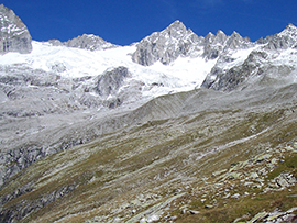 hochgebirge wandern ferienwohnung haus gisela mayrhofen